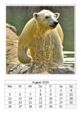 August_Eisbär_1.pdf